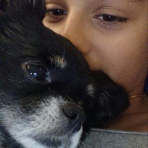 Meet your Posher, Pablo